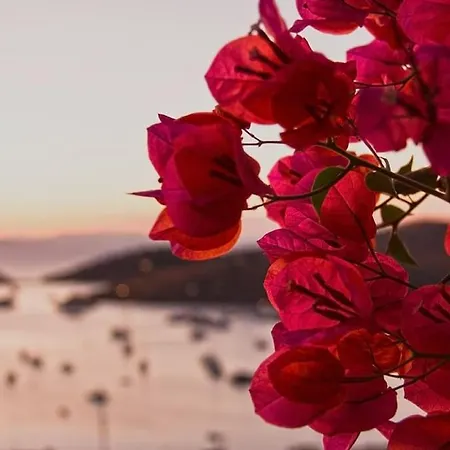 فيلة Faros Kea With Private Pool And Stunning Views Vourkárion