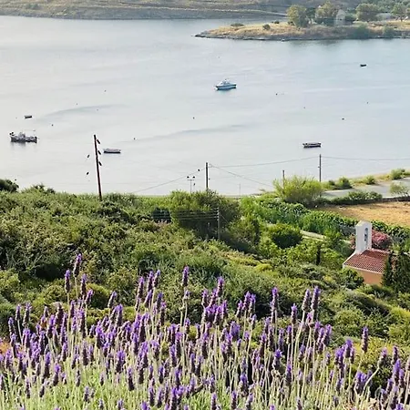 Faros Kea With Private Pool And Stunning Views Vourkárion
