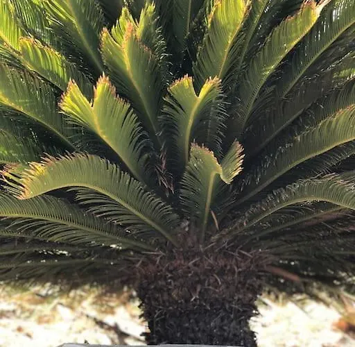 Faros Kea With Private Pool And Stunning Views Villa