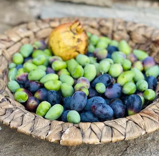 Faros Kea With Private Pool And Stunning Views Villa Vourkárion