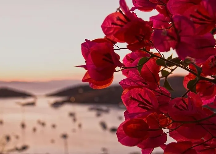 Villa Faros Kea With Private Pool And Stunning Views Vourkárion